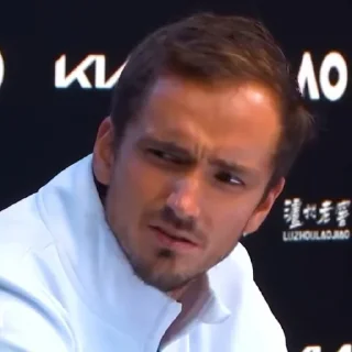 Стикер Memedvedev - 4