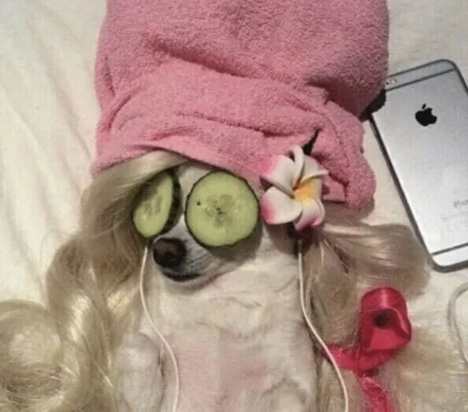 mobile phone indoor cellphone