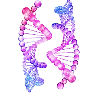 Sticker MAGIC LADARIA - 2