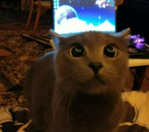 Sticker magic stickers - 9