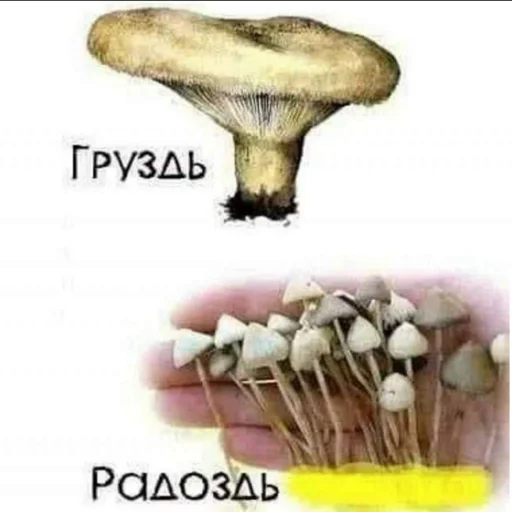 Sticker magic stickers - 0