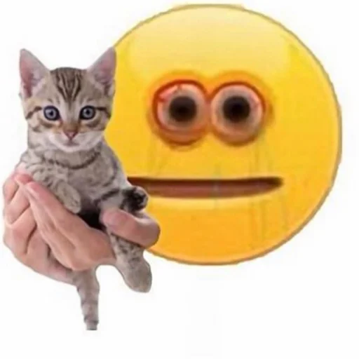 кошки малого и среднего размера млекопитающее кошачьи