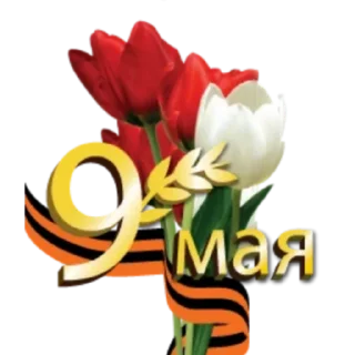 Стикер @Albina_Fazilowa_Rabota - 0