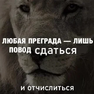 Стикер Эта учеба просто имба - 10