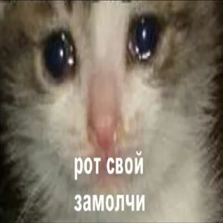 Sticker УдолиАтоБан - 3