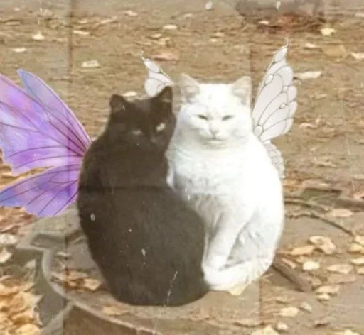 Стикер Main_O1p6qqbCIhCoRTYQ3PUEv09Go_by_StickersPackRobot - 1