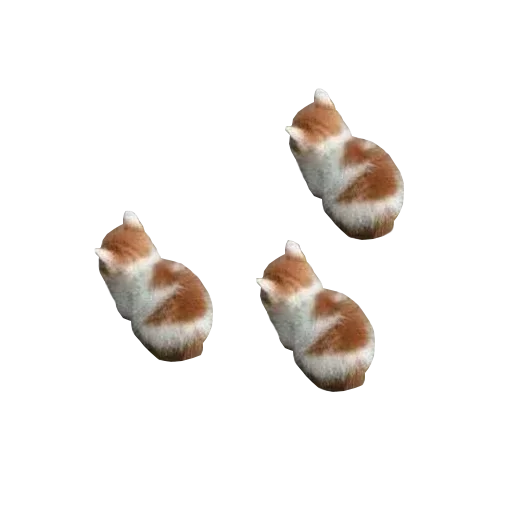 Funny cats #432 @StickersPackRobot - 