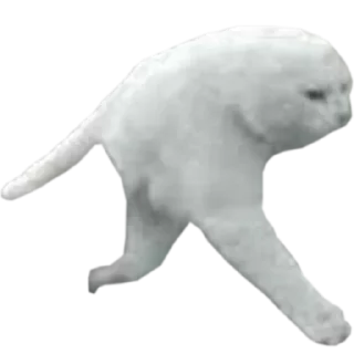 Sticker Funny cats #432 @StickersPackRobot - 3