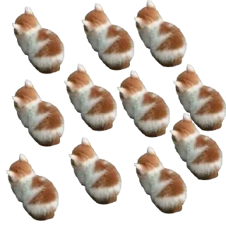 Sticker Funny cats #432 @StickersPackRobot - 8