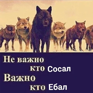 Стикер Согласны? Узнали? @StickersPackRobot - 10