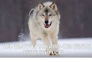 Стикер Согласны? Узнали? @StickersPackRobot - 3