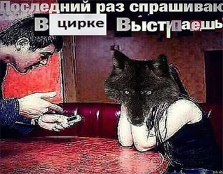 Стикер Согласны? Узнали? @StickersPackRobot - 2