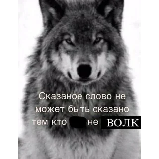 Стикер Согласны? Узнали? @StickersPackRobot - 4