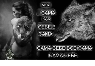 Стикер Согласны? Узнали? @StickersPackRobot - 6