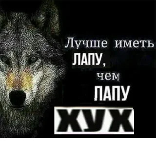 Стикер Согласны? Узнали? @StickersPackRobot - 7