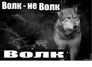 Стикер Согласны? Узнали? @StickersPackRobot - 0