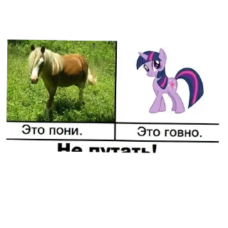 Sticker Май литл пони говнище - 5