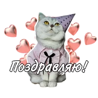 Стикер Maja »» @kotoomafia - 11