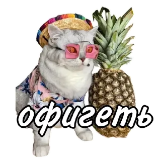 Стикер Maja »» @kotoomafia - 1