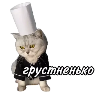 Стикер Maja »» @kotoomafia - 5