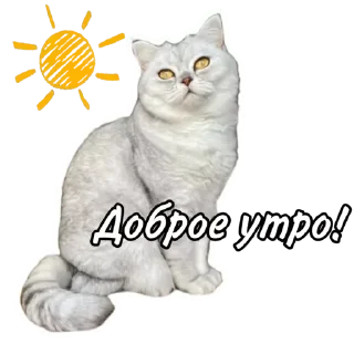 Стикер Maja »» @kotoomafia - 7