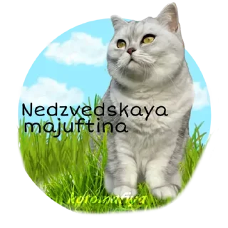 Стикер Maja »» @kotoomafia - 4