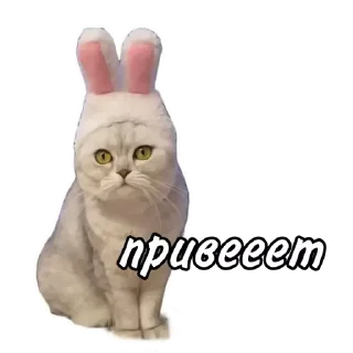 Стикер Maja »» @kotoomafia - 3