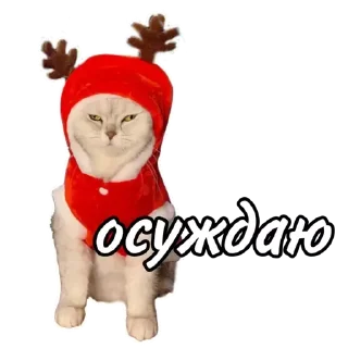 Стикер Maja »» @kotoomafia - 8