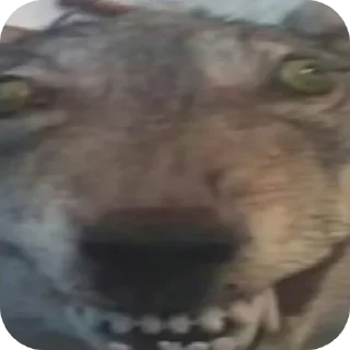 Стикер ЧмО - 4