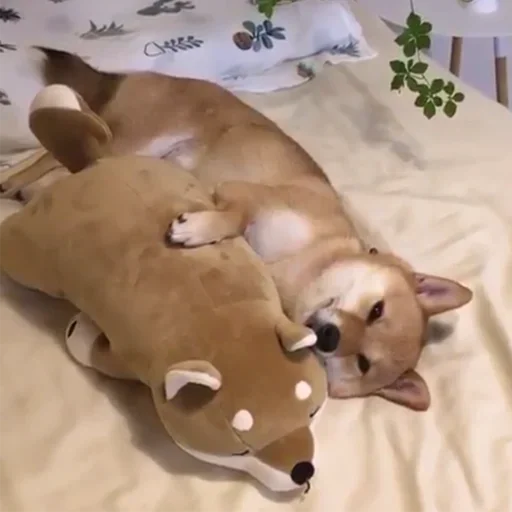 Стикер Макс - 7