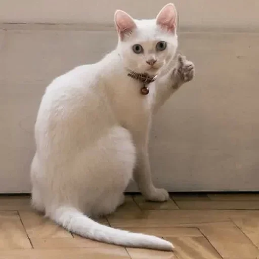 Стикер Макс - 6