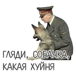 Стикер Макс - 11