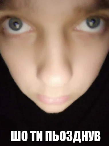 Максімка сігма - 