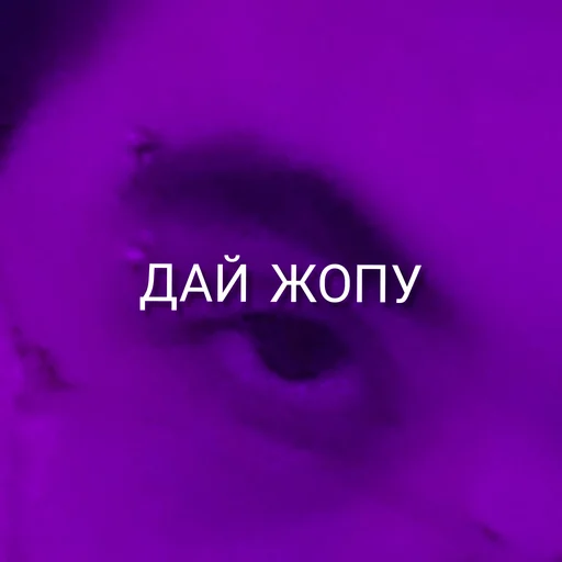 violet purple magenta