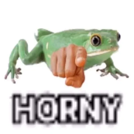 животное лягушка амфибия