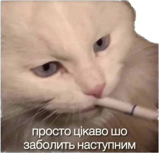 Стикер Malikna - 1