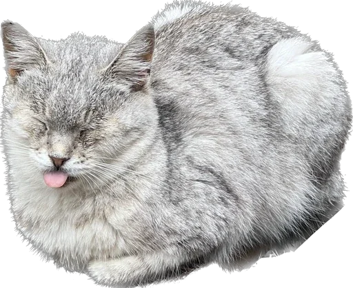 Стикер Malikna - 1