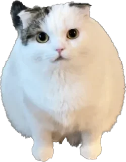 Стикер Malikna - 10