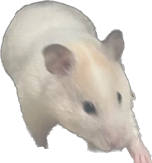 Стикер Malikna - 2