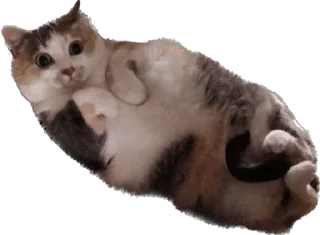 Стикер Malikna - 1