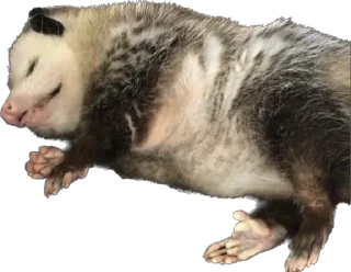 Стикер Malikna - 11