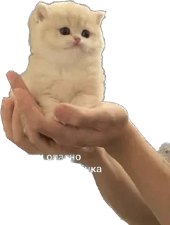 Стикер Malikna - 3