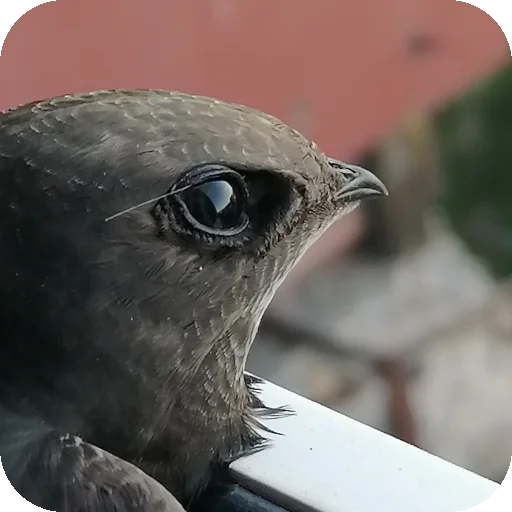 Малышки-крутышки❤️ - 