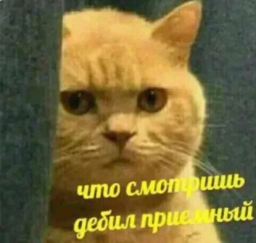 Стикер Для ВП (@makcuk2233) :: @fStikBot - 6