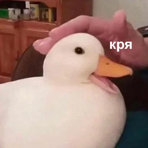 Стикер Для ВП (@makcuk2233) :: @fStikBot - 4