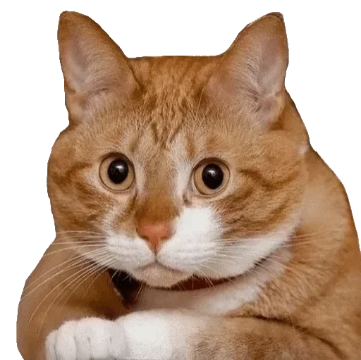 Стикер Для ВП (@makcuk2233) :: @fStikBot - 3