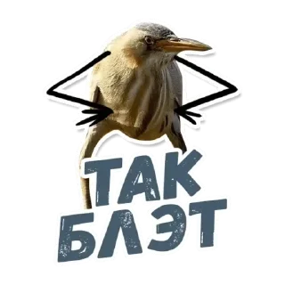 Sticker Мама бабка - 2
