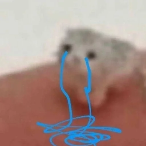 Sticker Kittyset - 7