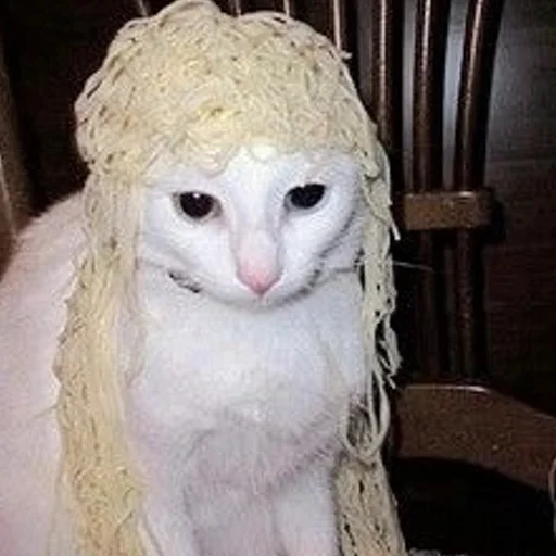 Sticker Kittyset - 4