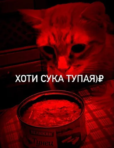 Sticker Мояишкины() - 11